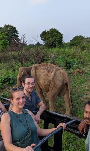 Kiyora Travels Sri Lanka (13)