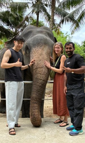 Kiyora Travels Sri Lanka (30)